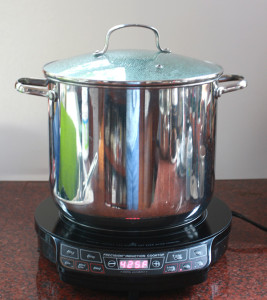 NuWave Pic Pro Burner With Pot